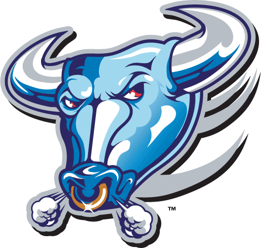 Buffalo Bulls 1997-2006 Alternate Logo DIY iron on transfer (heat transfer)
